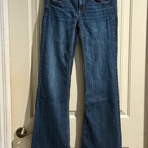 American Eagle Outfitters Blue Flare Jeans